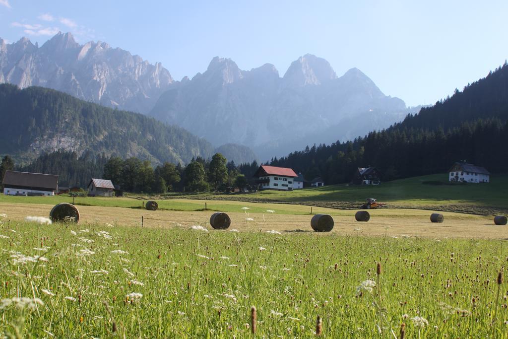 Muehlradl Apartments Gosau Camera foto