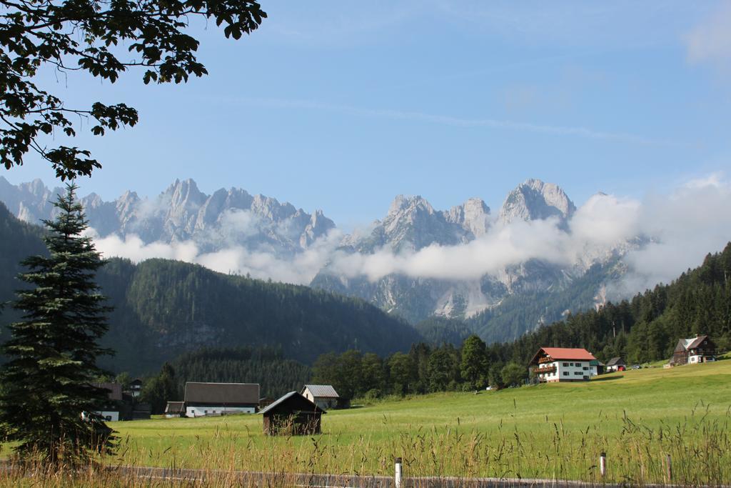 Muehlradl Apartments Gosau Esterno foto
