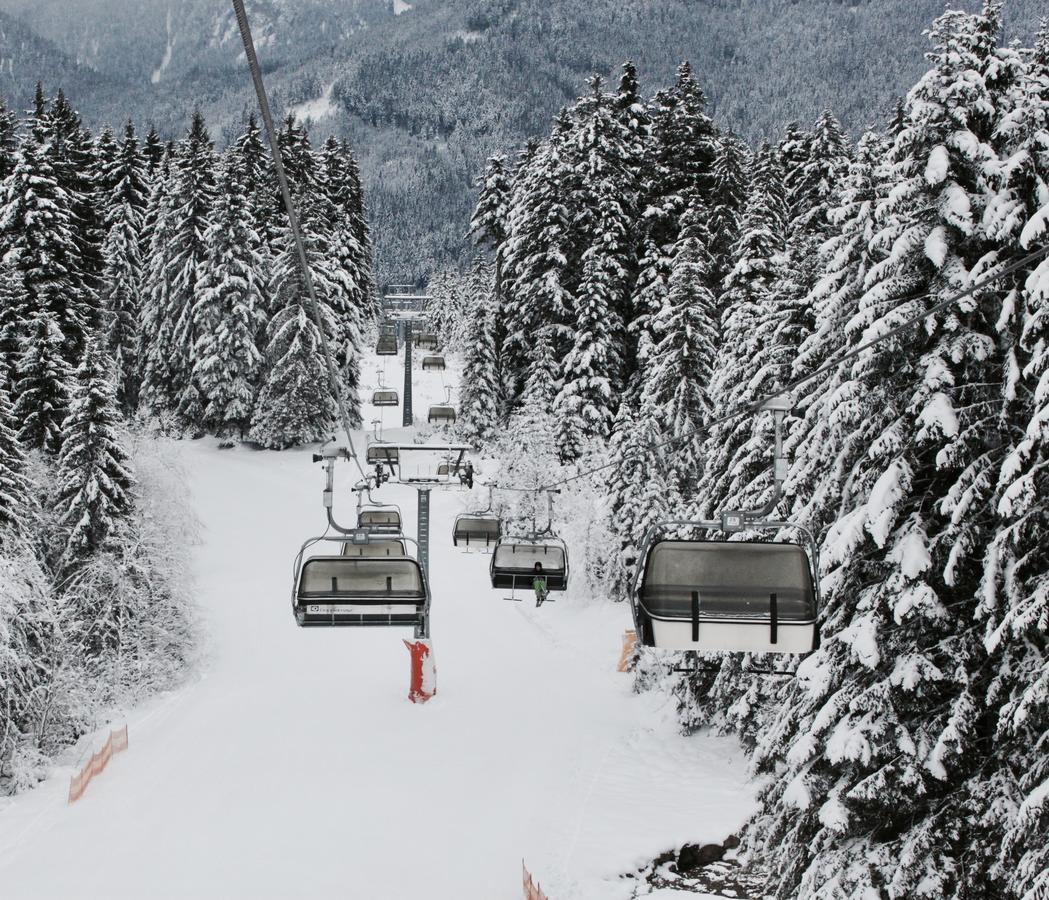 Muehlradl Apartments Gosau Esterno foto